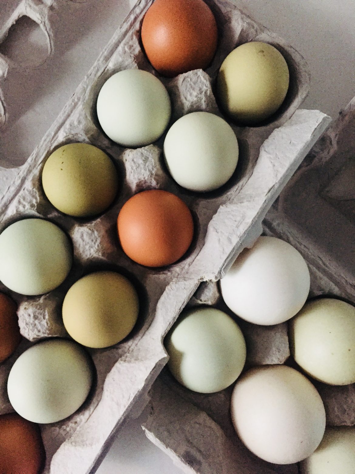 Eggs: best three recipes EVER (not biased whatsoever)